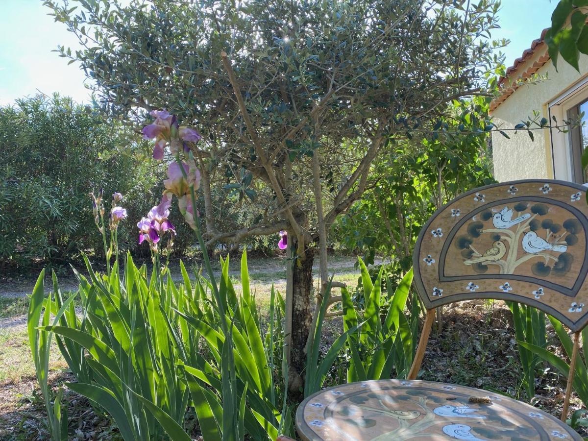 Bed and Breakfast L'Eveil En Provence Entrecasteaux Экстерьер фото